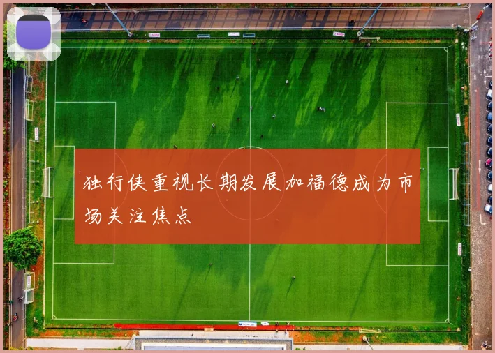 独行侠重视长期发展加福德成为市场关注焦点