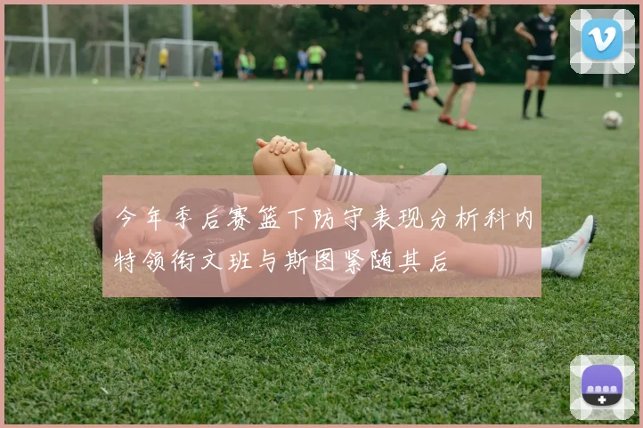 今年季后赛篮下防守表现分析科内特领衔文班与斯图紧随其后
