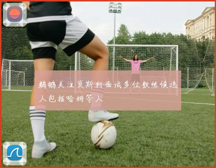 鹈鹕关注莫斯利面试多位教练候选人包括哈姆等人