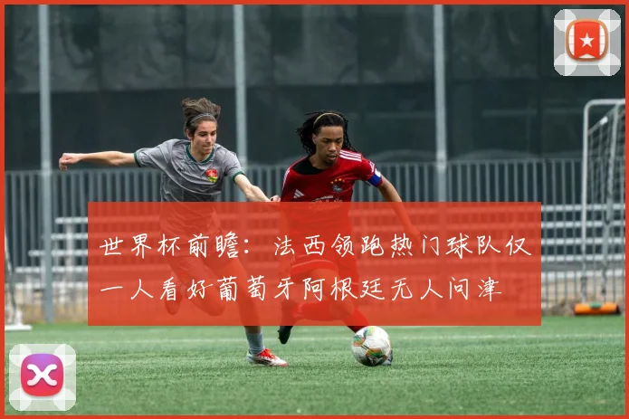 世界杯前瞻：法西领跑热门球队仅一人看好葡萄牙阿根廷无人问津