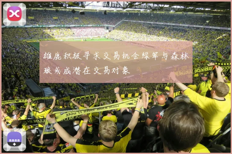 雄鹿积极寻求交易机会绿军与森林狼或成潜在交易对象
